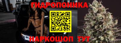 прущие крисы Кулебаки