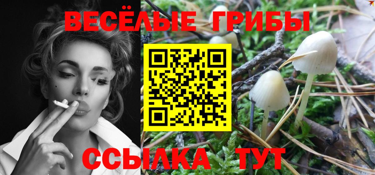 Псилоцибиновые грибы Psilocybine cubensis  где продают наркотики  Галлюциногенные грибы Cubensis  Щёлково  Вход с VPN 